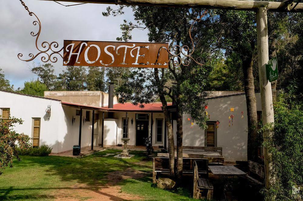 Hostel Punta Ballena Bar Пунта-дель-Эсте Экстерьер фото
